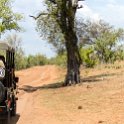 BWA NW Chobe 2016DEC04 NP 121 : 2016, 2016 - African Adventures, Africa, Botswana, Chobe National Park, Date, December, Month, Northwest, Places, Southern, Trips, Year